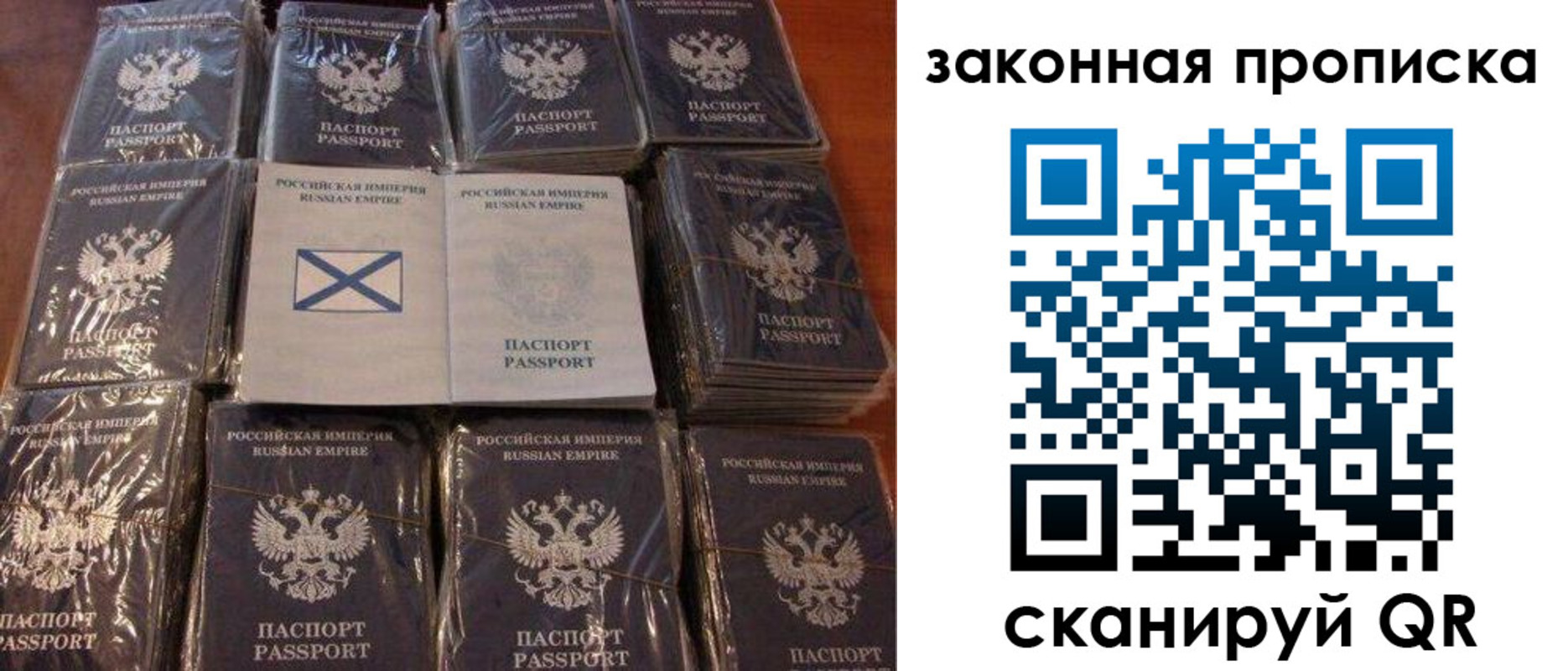 прописка для школы в Владимирской области